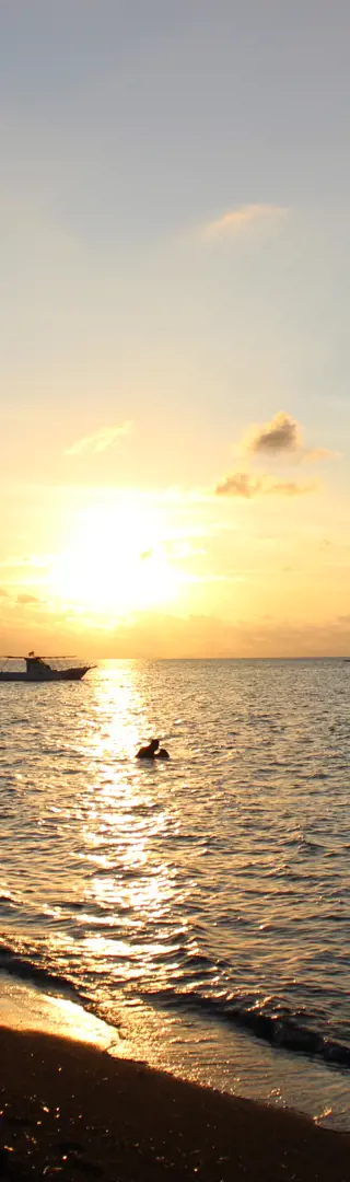 Ankunft auf der Insel und Transfer nach Lovina